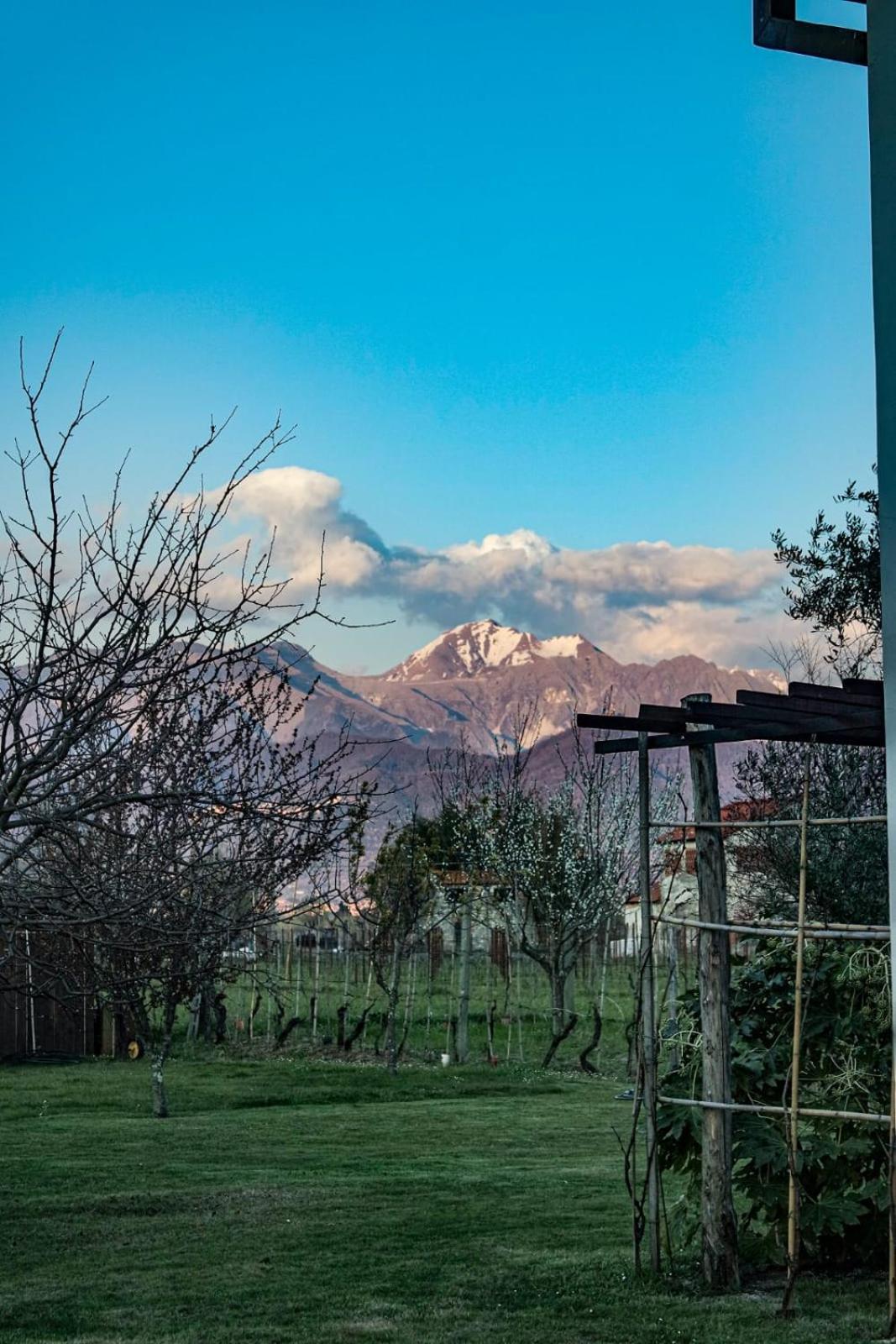 Villa Casa Margubbio Ameglia Esterno foto